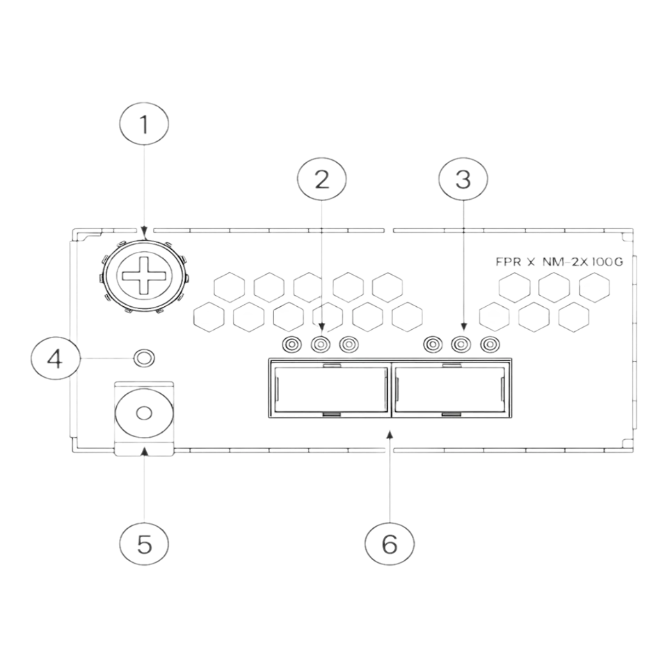 FPR4K-XNM-2X100G
